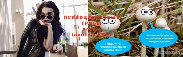 трава Армянск