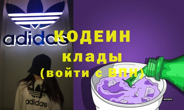 ПСИЛОЦИБИНОВЫЕ ГРИБЫ Арсеньев