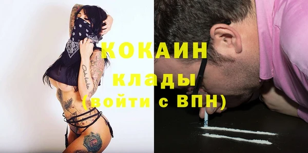 мяу мяу мука Аркадак