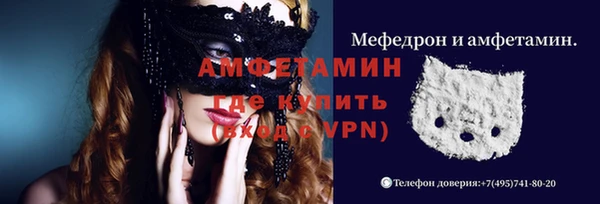 ПСИЛОЦИБИНОВЫЕ ГРИБЫ Арсеньев
