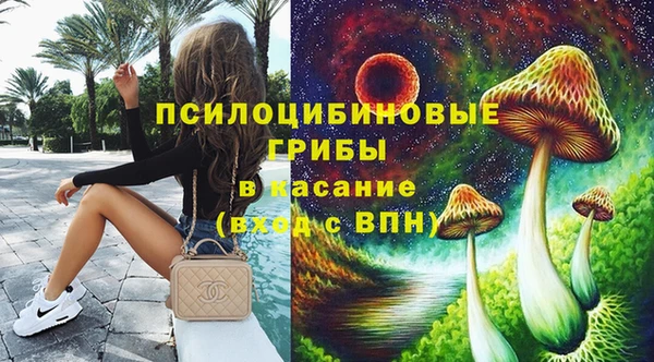 мяу мяу мука Аркадак