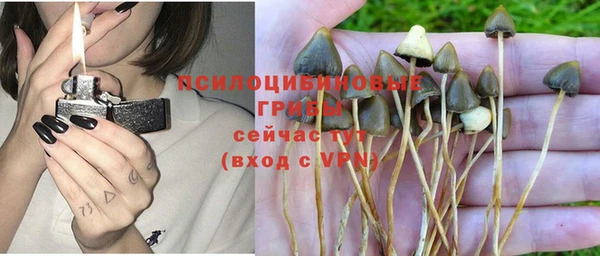 ПСИЛОЦИБИНОВЫЕ ГРИБЫ Арсеньев